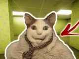 Boo Scared? Escape from Backrooms