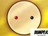 Bumpp.io