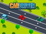 Car Driver
