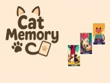 Cat Memory