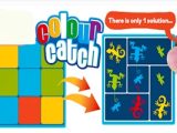 Colour Catch