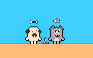 Dog and Cat