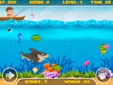 Fishing Frenzy