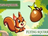 Flying Squirrel
