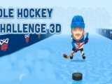 Idle Hockey Challenge 3D Pro
