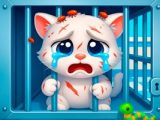Kind Shelter – Animal Care and Treatment