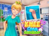 Knee Case Simulator