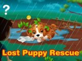 Lost Puppy Rescue and Care