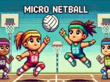 Micro Netball