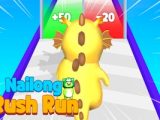 Nailong Rush Run
