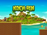 Ninja Run Jump