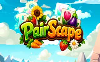 PairScape