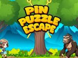 Pin Puzzle Escape