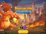 Rescue The Princess