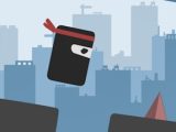 Rooftop Ninja