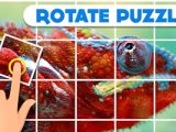 Rotate Puzzle