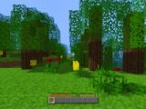 Sammu Craft