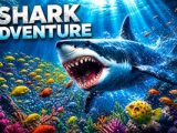 Shark Adventure
