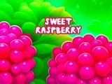Sweet Raspberry