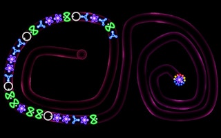 TD Neon Shoot – Zuma