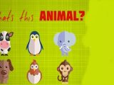 What’s That Animal
