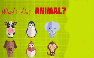 What’s That Animal