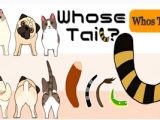 Whose Tail
