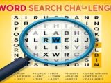 Word Search Challenge