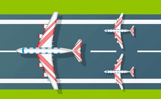 Flight Survival