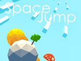 Space Jump