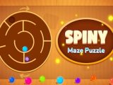Spiny Maze Puzzle